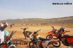 morocco enduro tour