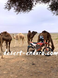 morocco enduro ride ktm